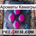 Ароматы Камагры 02